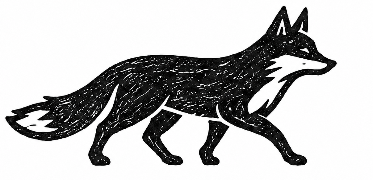 Night Fox